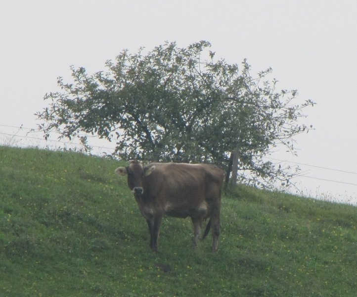 kmetija-rupa-ignacij-hladnik-0