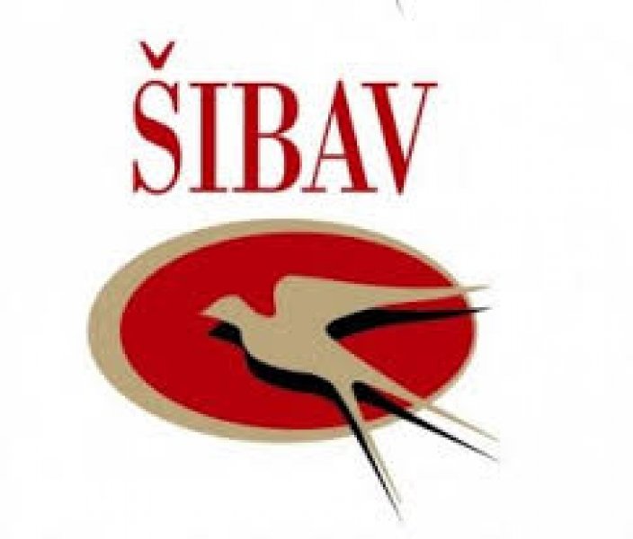 vino-sobe-sibav-danjela-sibav-8